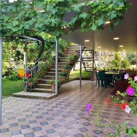 Valiko House In Telavi Otel Dış mekan fotoğraf