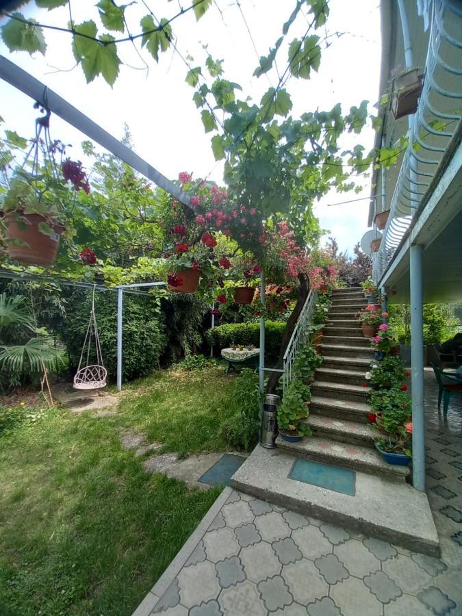 Valiko House In Telavi Otel Dış mekan fotoğraf