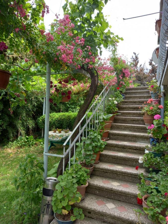 Valiko House In Telavi Otel Dış mekan fotoğraf