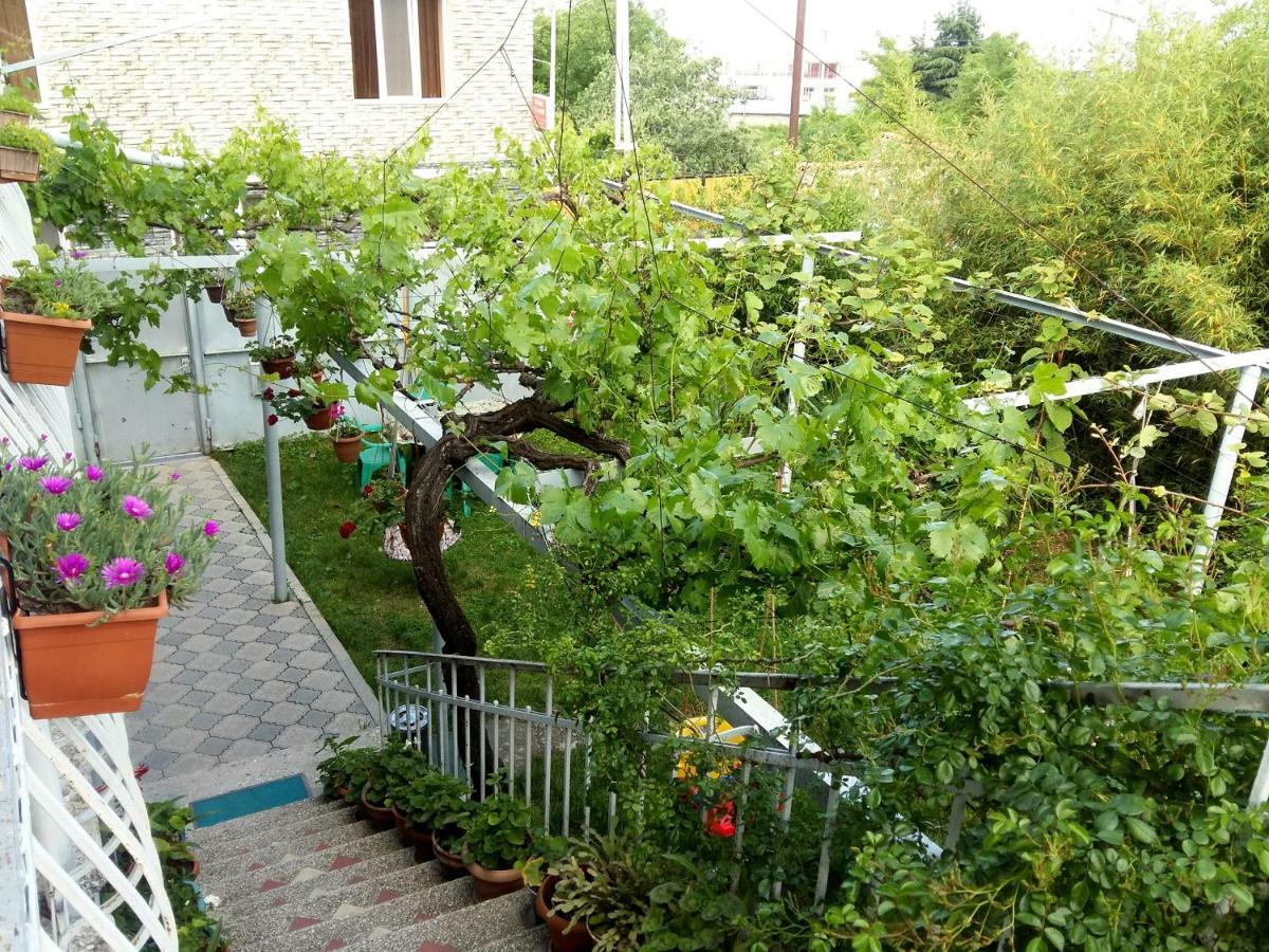 Valiko House In Telavi Otel Dış mekan fotoğraf